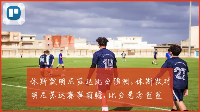 休斯敦明尼苏达比分预测,休斯敦对明尼苏达赛事前瞻,比分悬念重重