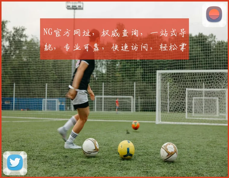 NG官方网址，权威查询，一站式导航，专业可靠，快速访问，轻松掌握