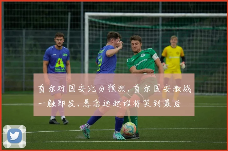 首尔对国安比分预测,首尔国安激战一触即发,悬念迭起谁将笑到最后